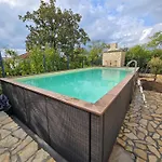 Olive Luxury *