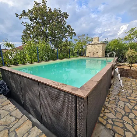 Olive Luxury *