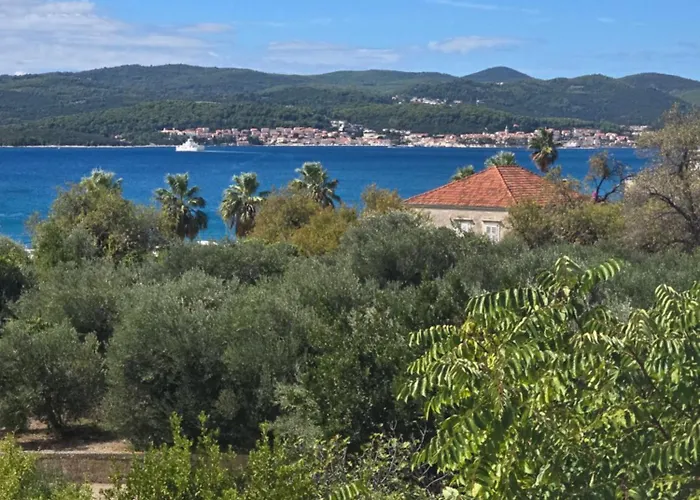 דירה Olive Luxury אורביץ