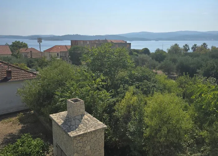 Olive Luxury אורביץ